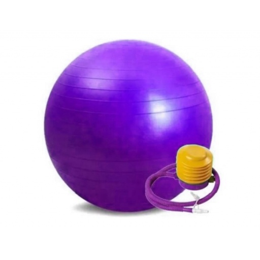 PELOTA DE PILATES 65CM VIOLETA NNET